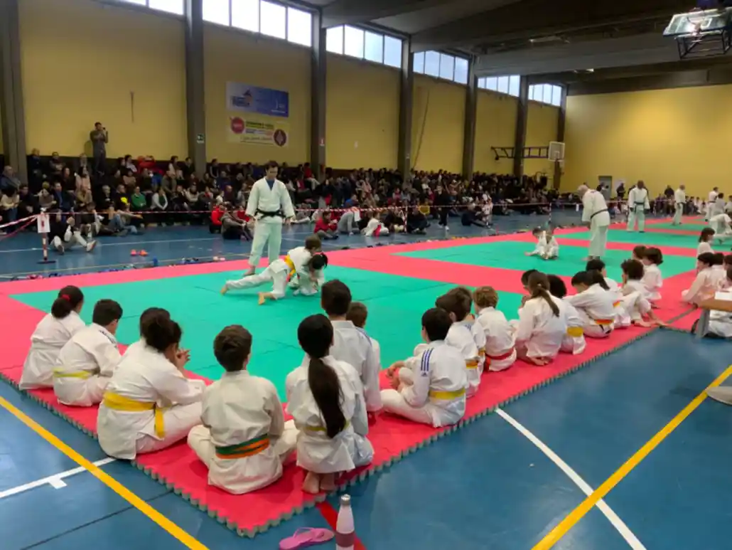 29O Campionato Interregionale Judo Polisportiva Villaggio Del Fan