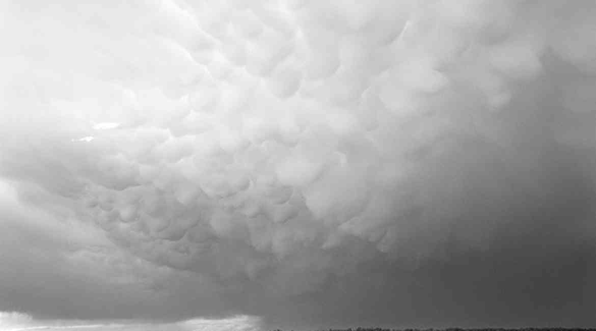 2010 MAMMATUS